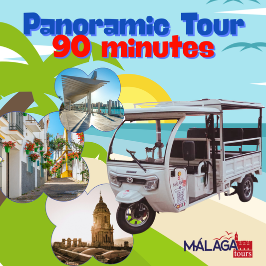:  🛺 Classic Tour – 90 Minutes